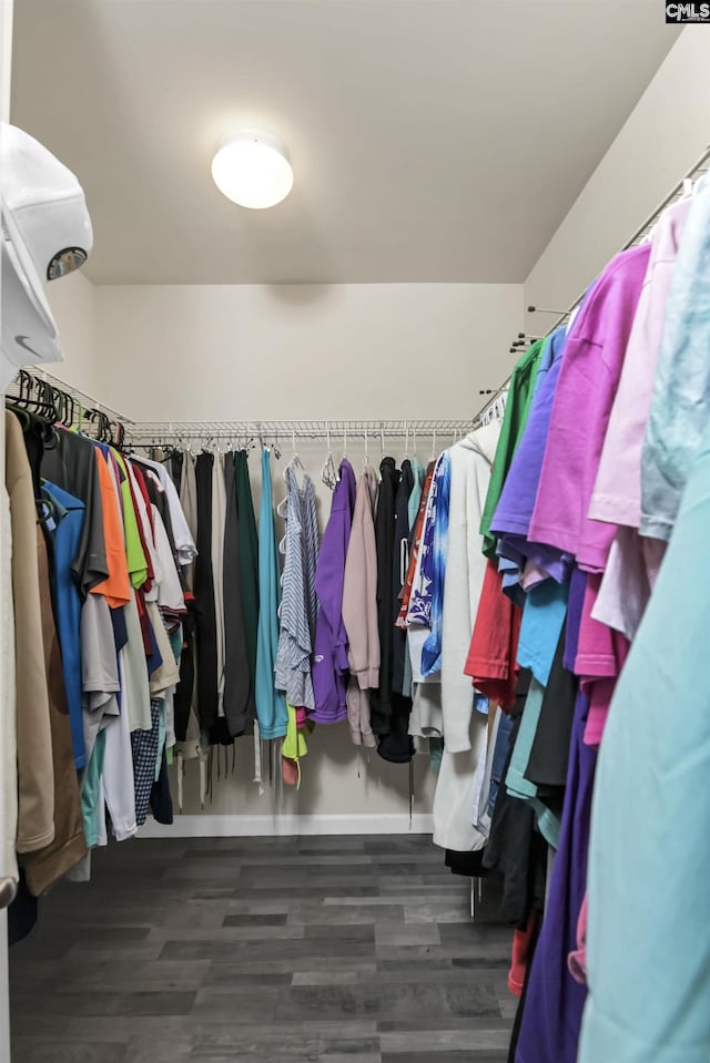 spacious closet featuring wood finished floors