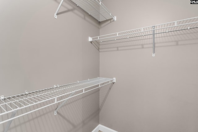 view of walk in closet