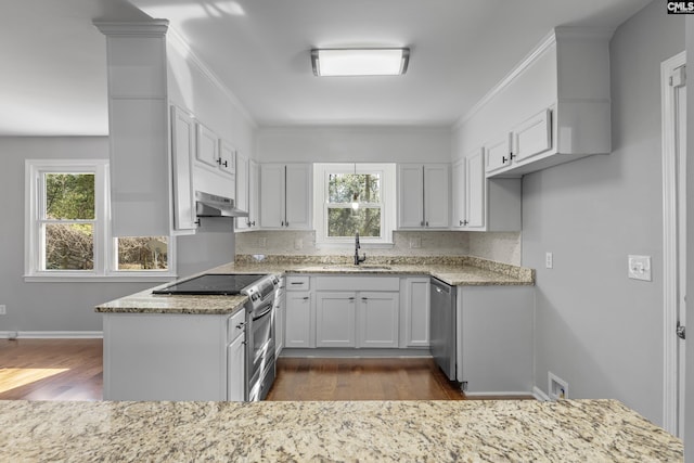 kitchen with dark wood-type flooring, under cabinet range hood, light stone counters, stainless steel appliances, and a sink