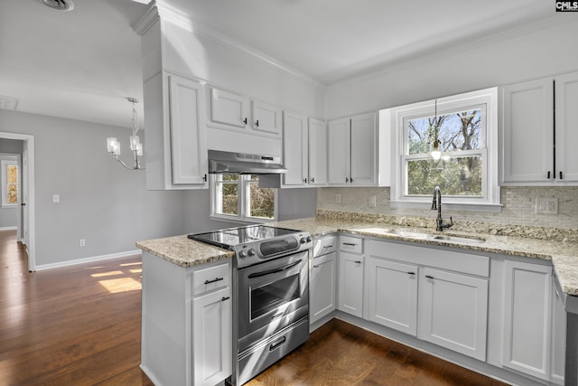 kitchen with dark wood-style floors, a sink, stainless steel range with electric stovetop, under cabinet range hood, and tasteful backsplash