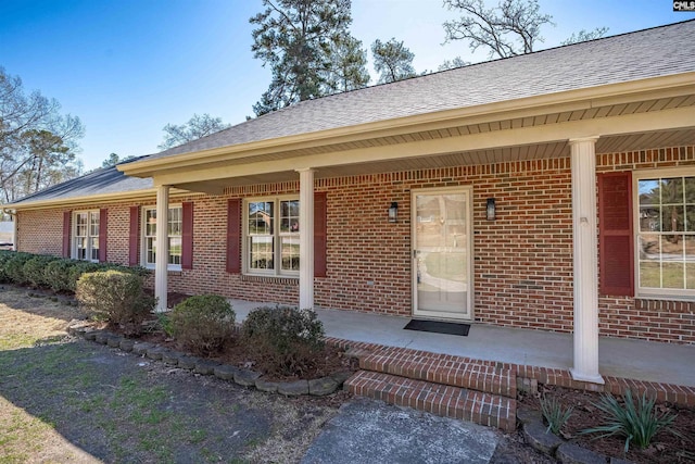 doorway to property with covered porch, brick siding, and a shingled roof