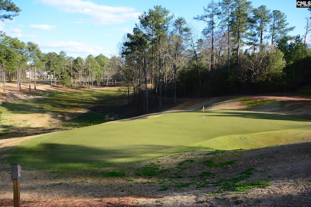 view of home's community with golf course view