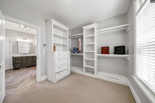 spacious closet featuring light carpet and a sink