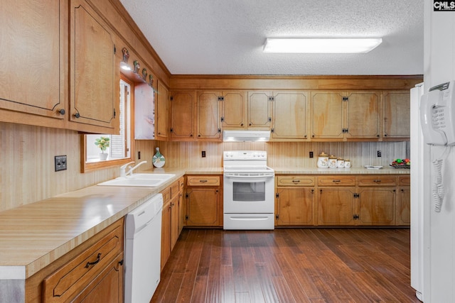 kitchen featuring under cabinet range hood, white appliances, light countertops, and a sink