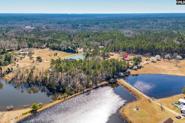 birds eye view of property with a view of trees and a water view