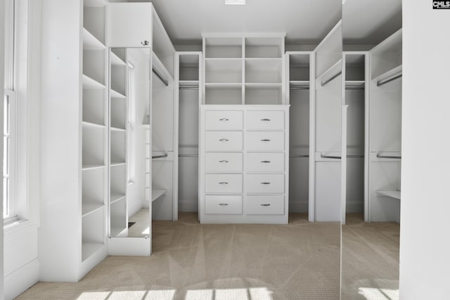 spacious closet with carpet flooring