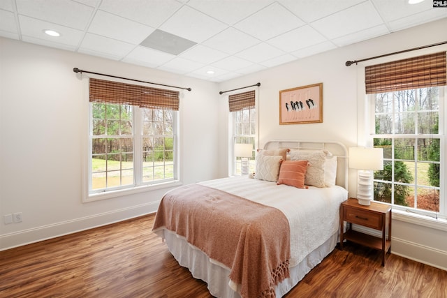 bedroom featuring multiple windows, baseboards, and wood finished floors