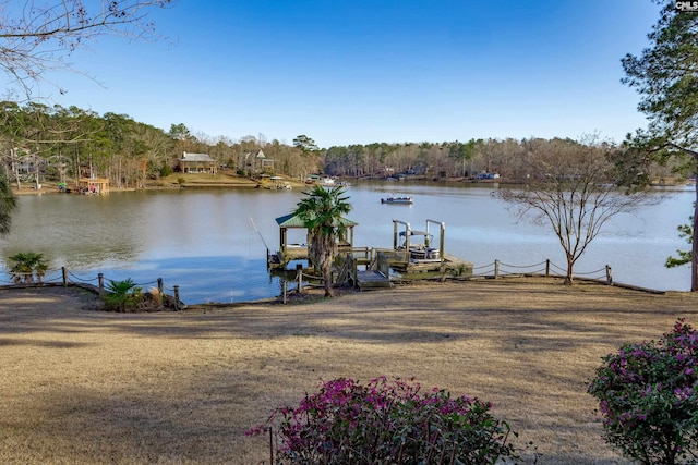 view of water feature with a dock