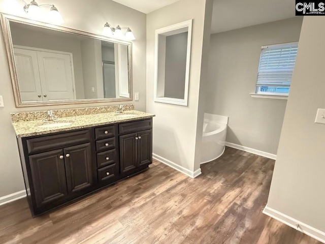 bathroom featuring double vanity, wood finished floors, a freestanding bath, and a sink