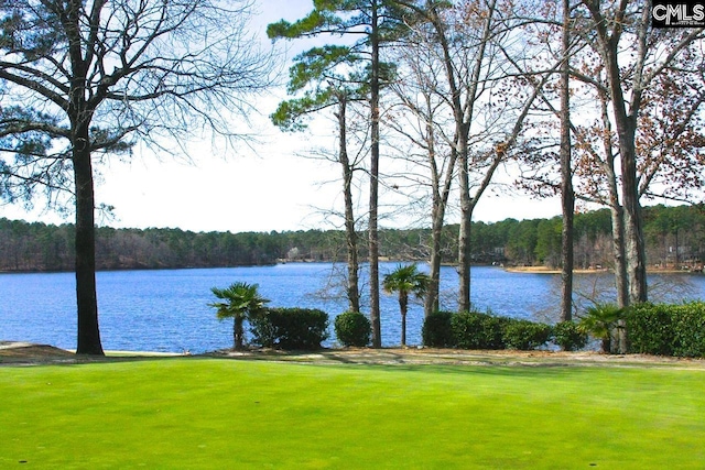 view of water feature with a wooded view