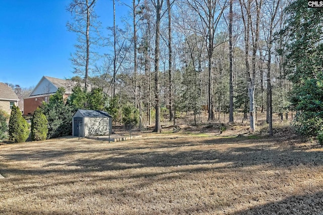 view of yard featuring an outbuilding and a storage unit