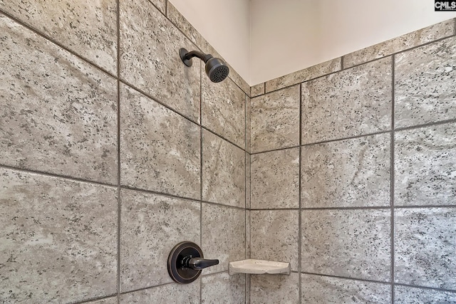 details featuring tiled shower