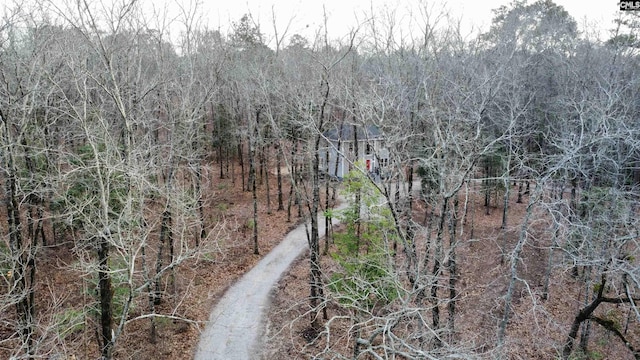 aerial view with a wooded view