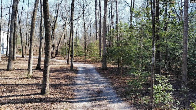 view of road with a view of trees