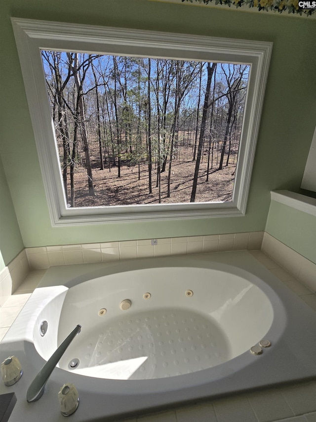 bathroom with a healthy amount of sunlight and a whirlpool tub