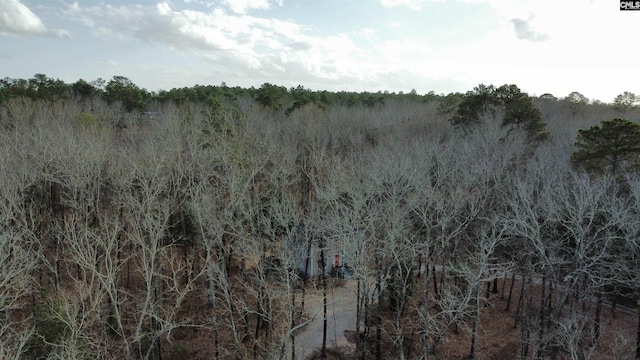 view of local wilderness featuring a forest view