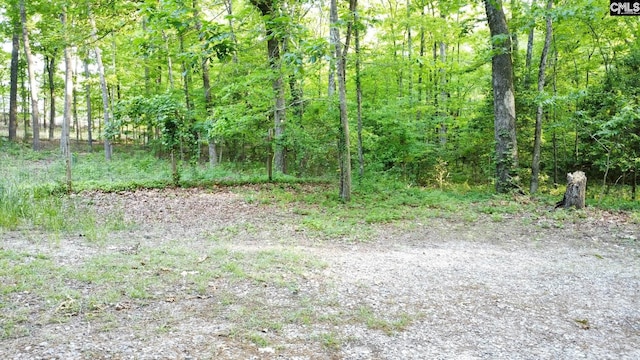 view of local wilderness featuring a wooded view