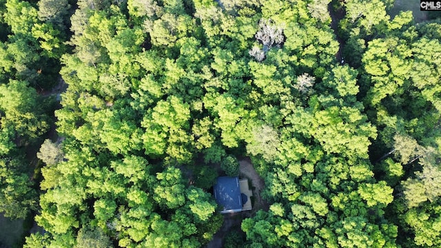 bird's eye view