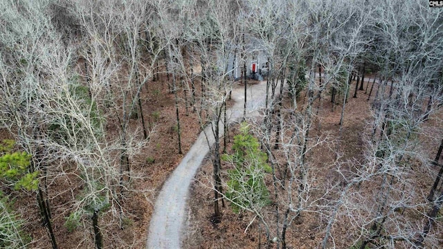 aerial view with a wooded view