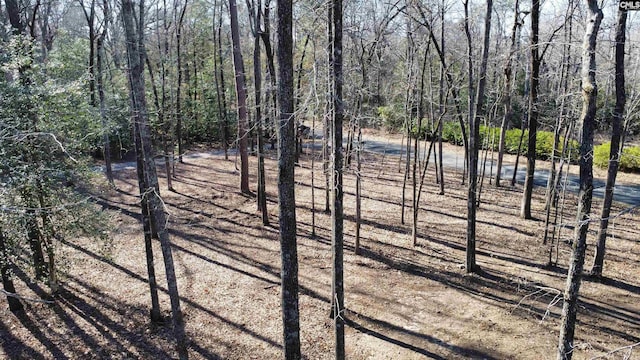 view of yard featuring a forest view