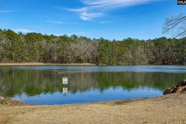 water view featuring a view of trees