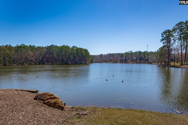 view of water feature featuring a wooded view