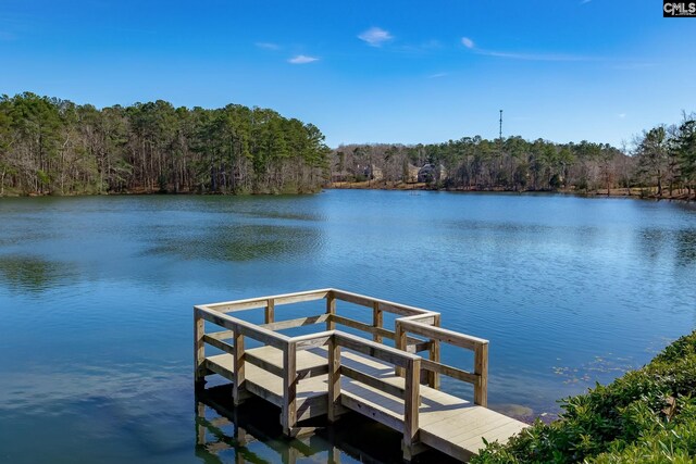 dock area with a forest view and a water view