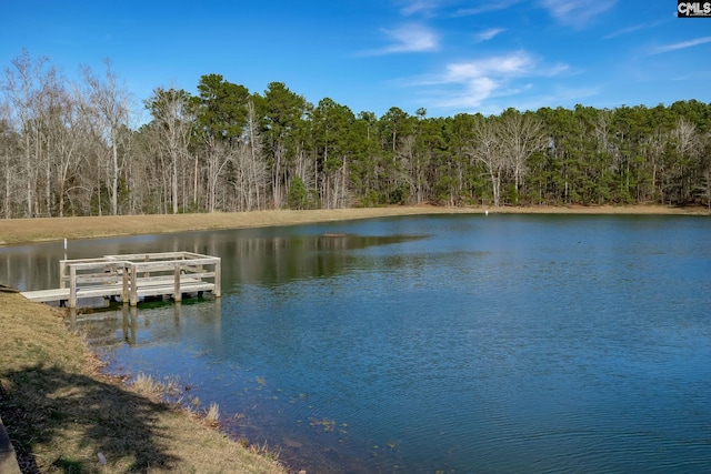 dock area featuring a water view and a view of trees