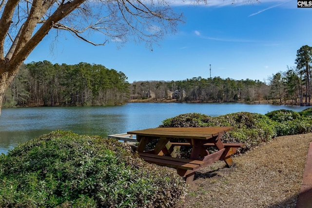 property view of water featuring a wooded view