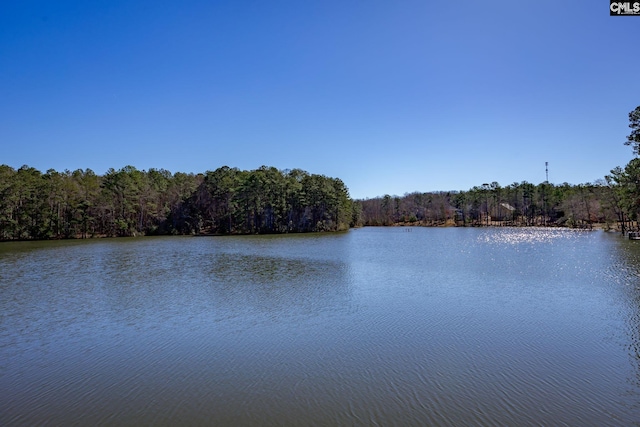 view of water feature featuring a wooded view