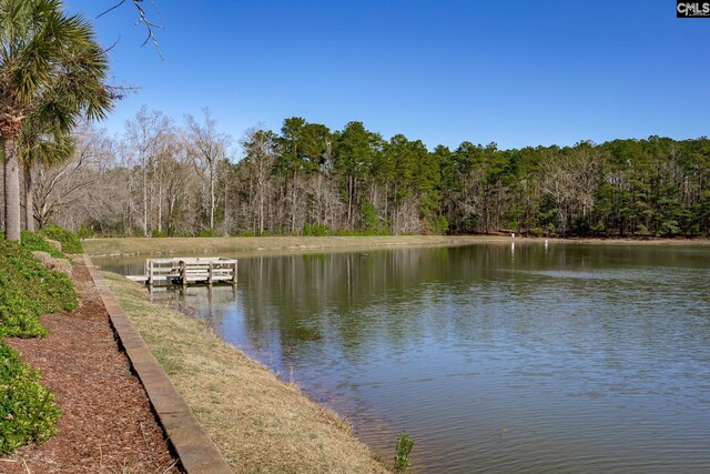 water view featuring a forest view and a boat dock