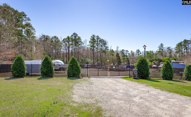 view of road with a gated entry, street lighting, driveway, and a gate