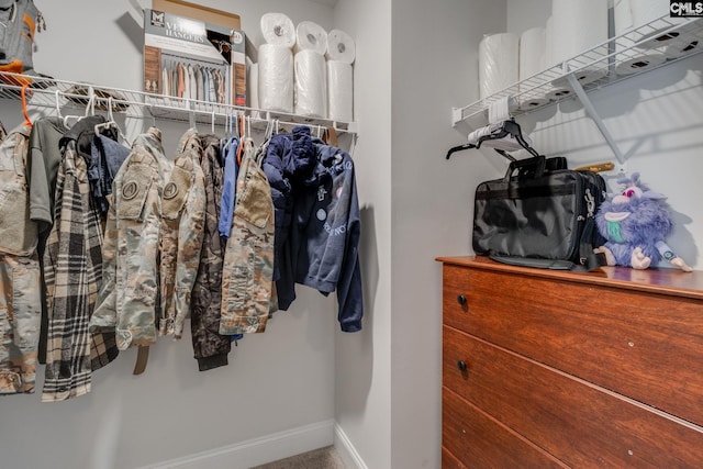 view of spacious closet