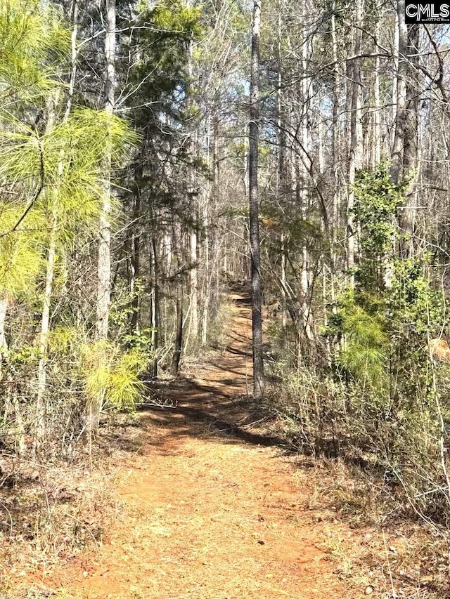 view of landscape with a wooded view