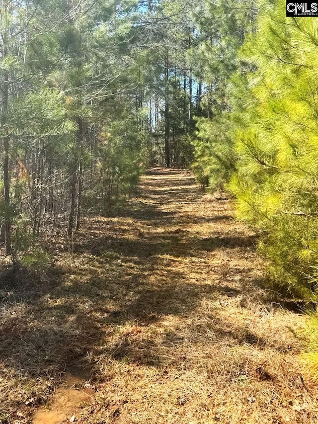 view of local wilderness featuring a wooded view