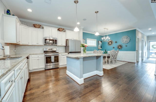 kitchen featuring dark wood-style floors, wainscoting, stainless steel appliances, and a sink