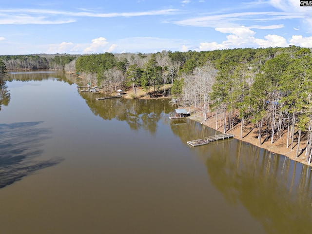 property view of water featuring a floating dock and a forest view