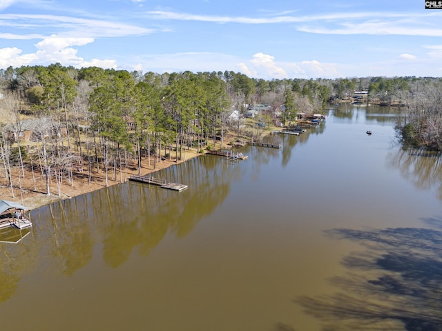 view of water feature with a floating dock