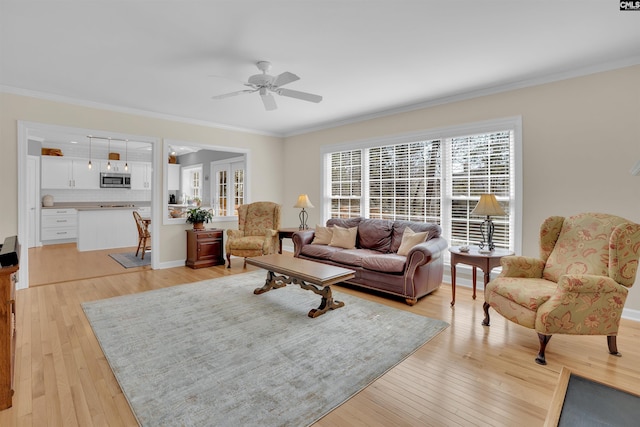 living room with ceiling fan, crown molding, and light wood-style floors