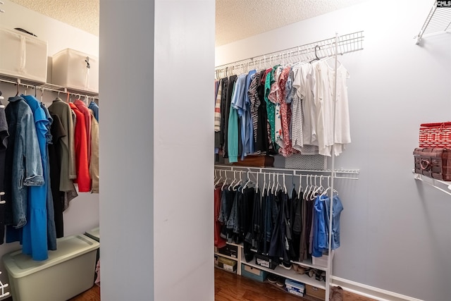 walk in closet with wood finished floors