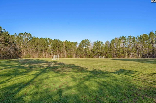 view of yard featuring a forest view