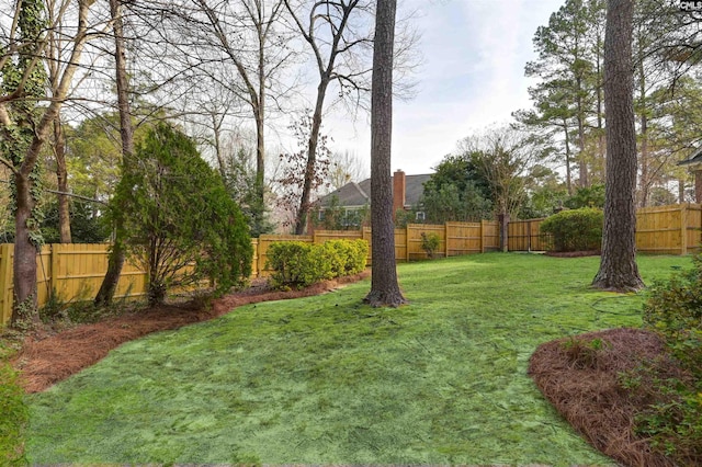 view of yard featuring a fenced backyard