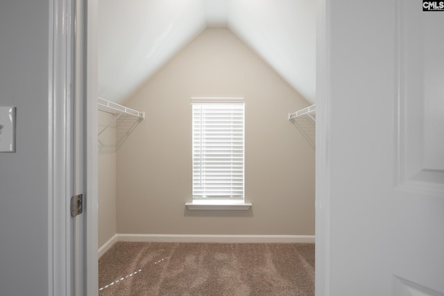 walk in closet featuring lofted ceiling and carpet