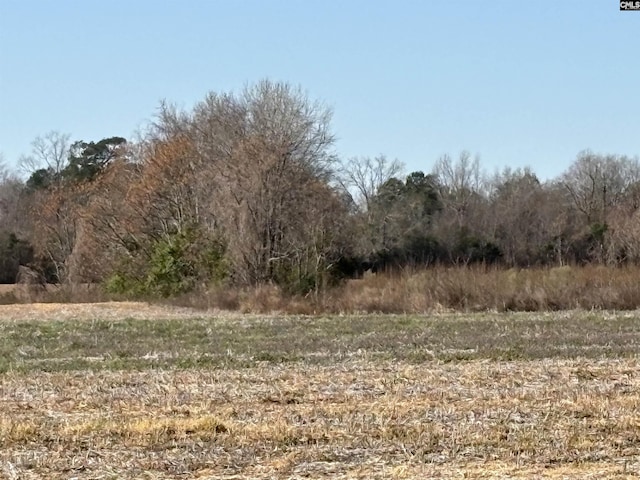 Leader Rd, Bishopville, SC 29010