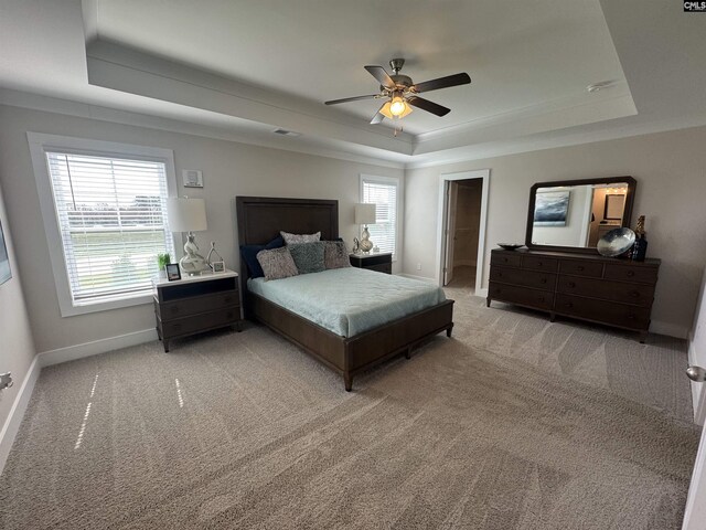 bedroom featuring light carpet and a raised ceiling