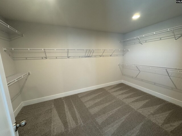 walk in closet featuring carpet flooring