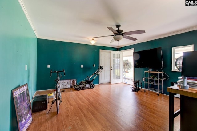 exercise room featuring ceiling fan, wood finished floors, and ornamental molding