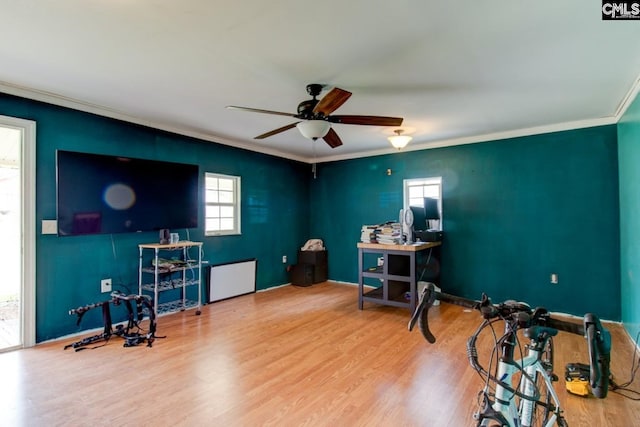 office featuring wood finished floors, a ceiling fan, and ornamental molding