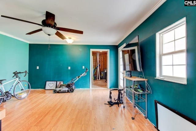 workout room featuring ceiling fan, wood finished floors, baseboards, and ornamental molding