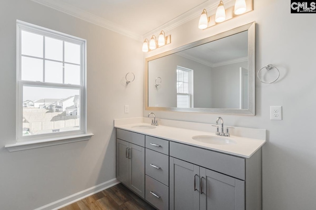 full bath with a sink, wood finished floors, and crown molding